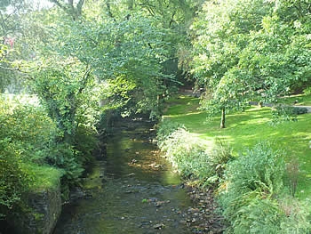 Photo Gallery Image - The East Okement River runs through Simmons Park