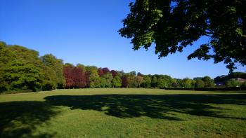 Photo Gallery Image - Park field