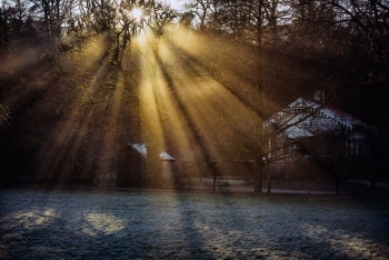 Photo Gallery Image - Sunlight 'Glavind Strachan Photography'