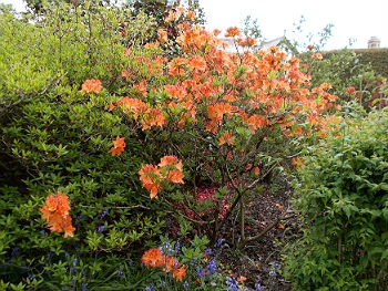 Photo Gallery Image - Simmons Park, Spring 2015