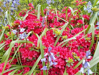 Photo Gallery Image - Spring Colour 2015