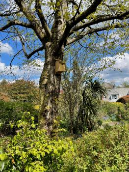 Photo Gallery Image - Bird Boxes